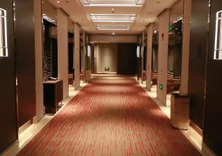 Hyatt Regency Zhenjiang - Zhenjiang - 8