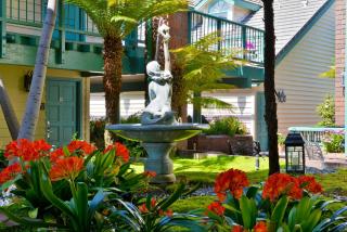Best Western Plus Dana Point Inn-by-the-Sea - Dana Point - 8
