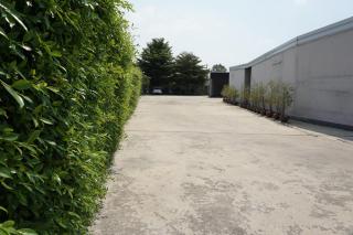 CheckInn Kan Resort Kanchanaburi - 6