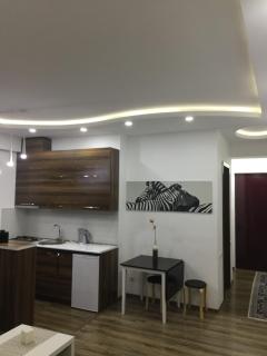 Family Apartment - Tbilisi - 7