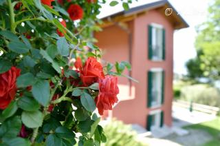 Locanda Pozzetto - Laveno-Mombello - 4