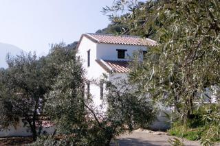 Finca la sutilas - 1