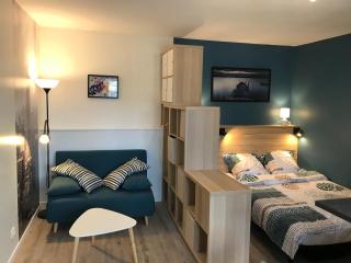 Studio cozy hypercentre - Le Mans - 0