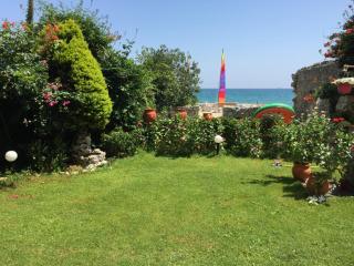 Asterias Studios & Apartments - Kalyves - 6