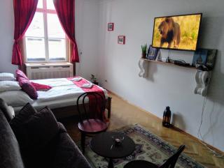 Classical Budapest apartment in the old Pest - Budapest - 4