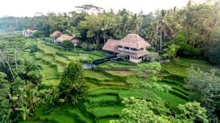 Villa Kelusa - Ubud - 0
