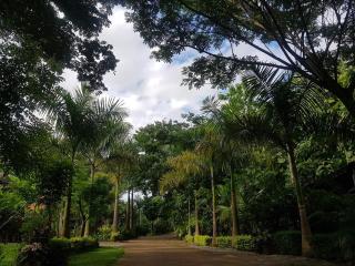 Samnaree Garden House - Ban Phae Mai - 2