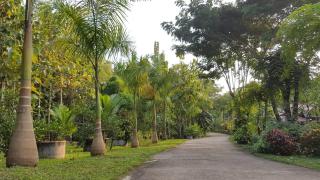 Samnaree Garden House - Ban Phae Mai - 3