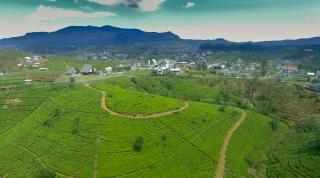 The Glenmor Bungalow - 5