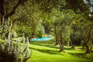 Agriturismo Villa Buoninsegna - Rapolano Terme - 3