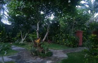 Molleh Guest House - Pemuteran - 3