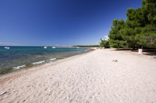 Apartments Tinka - 3