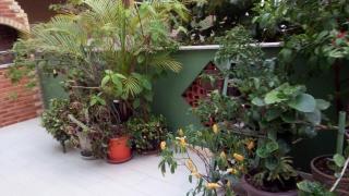 SUITE PRIVATIVA - Rio de Janeiro - 4