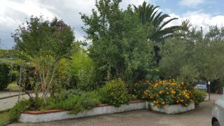 Appartamenti Criage - Campo nell'Elba - 9