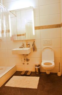Beautiful apartment with 2 balconies 2 bedrooms - Basel - 3