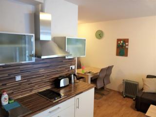Apartmán Pohoda Lipno - Lipno nad Vltavou - 1