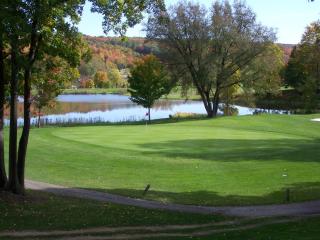 Byrncliff Golf Resort - Varysburg - 5