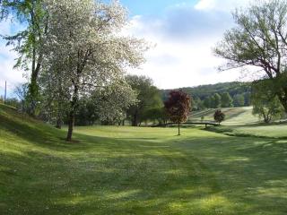 Byrncliff Golf Resort - Varysburg - 4