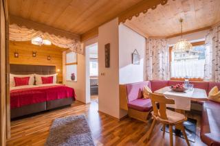 Appartements Enzian - Finkenberg - 3