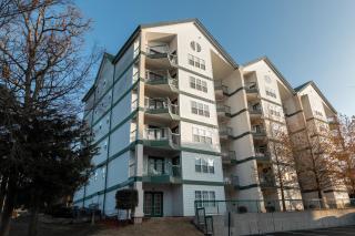 Carriage Place - Branson - 9