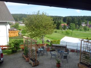 Pension Wiesengrund - Schluchsee - 5