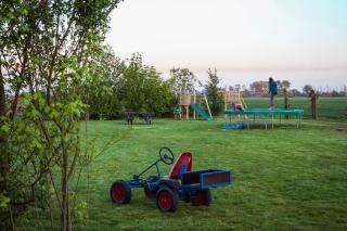 Vakantiehuizen 7Huizen aan Zee - Scharendijke - 1