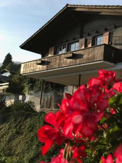 Traumhaftes Chalet mit Seesicht - Krattigen - 8
