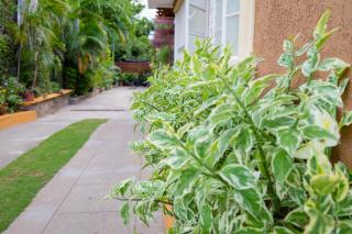 Kingston Vacation Rentals at Gardens of Bliss 2 - Beautiful Suite with Fishpond, Kingston - 8