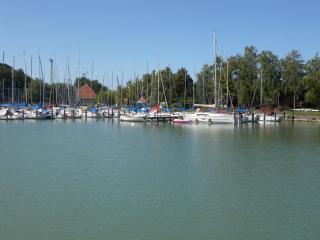 Holiday home in Fonyod - Balaton 18627 - 3
