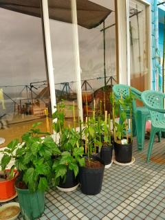 Ocean Home Guest House - 6
