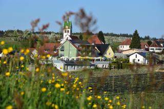 Gasthof Brennerei zum Forst - Kressbronn am Bodensee - 9