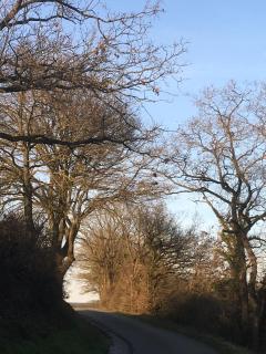 Genieterke - Somme-Leuze - 3