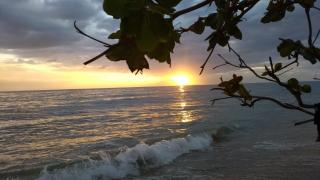 Brisas Del Mar 1/1 Front Beach Apartment - Rincon - 9