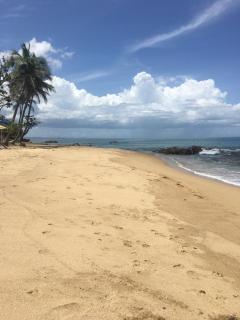 Brisas Del Mar 1/1 Front Beach Apartment - Rincon - 0