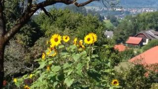 Müllnerhaus - 2