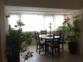 Apartament Central - Craiova - 1