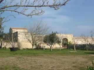 Masseria Copertini - 8