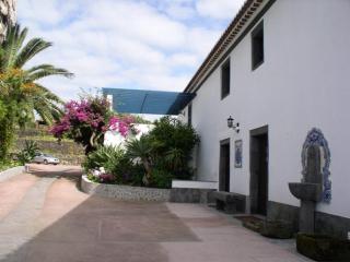 Quinta dos Afectos - São Vicente Ferreira - 8