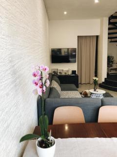 Visiani apartment - Šibenik - 1