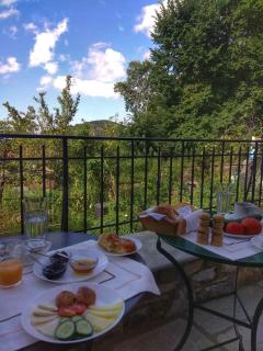 Sabouko Guest House - Vizitsa - 3