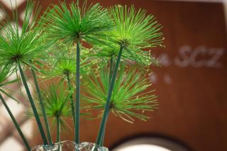 Hotel By Armonía Santa Cruz - 3