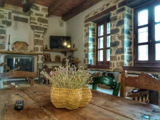 Sabouko Guest House - Vizitsa - 5