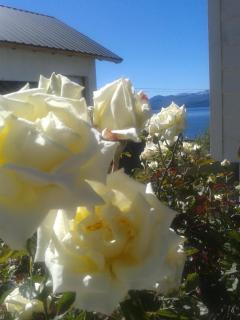 Las Agustinas DAT - 4