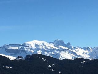 Chalet Fleur des Neiges - 2