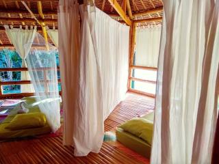 Water to Forest Ecolodge - Loboc - 8