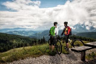 Landhotel Binderhäusl Garni - Inzell - 1