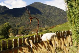 Haus Karin view - 4
