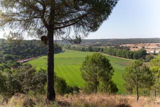 Casas Do Rio Sado - Sado River Country Retreat - 4