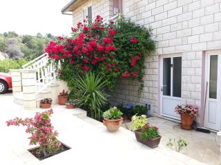 Apartments Pecotić - Brna - 8