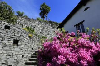 Casa Micheroli Parterre - Gordola - 5